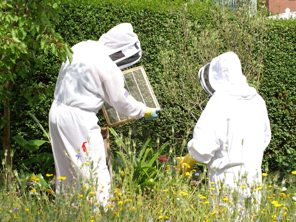 Beekepers in Mapperley Nottingham
