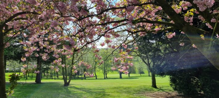 The 10th fairway of Mapperley Golf Club